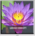 /album/photo-gallery-canvas-uri/decoratiuni-de-perete-canvas-lc-0122-jpg/